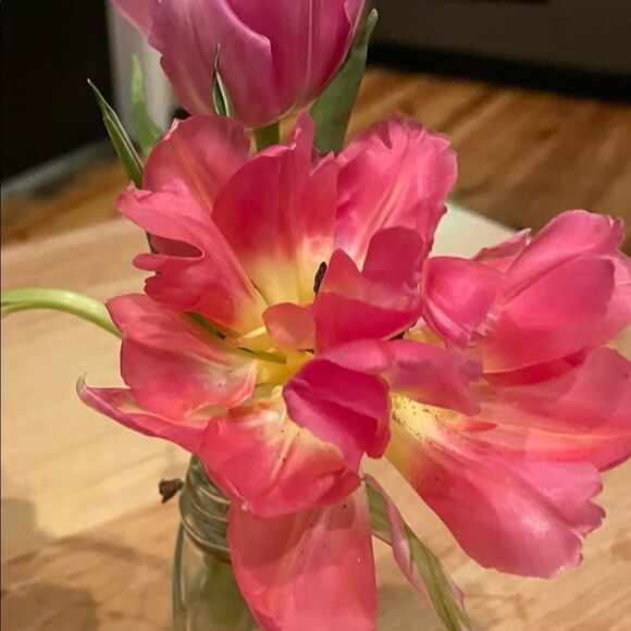 Stop and Smell the Flowers 🌷 - Picture 4 of 6